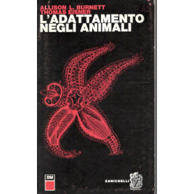 Librisaggi Librisaggi