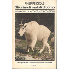 Librisaggi Librisaggi