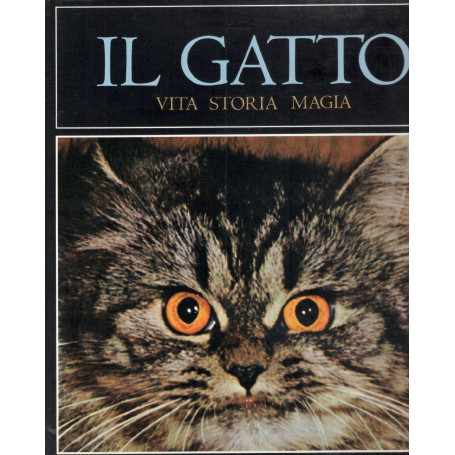 Il gatto  vita  storia  magia