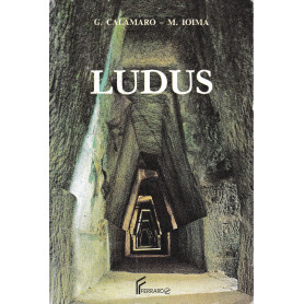 LUDUS. Versioni latine e analisi logica per i bienniLibrisaggi