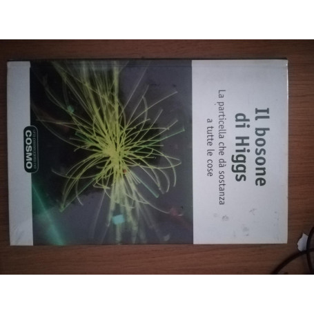 Il bosone di Higgs