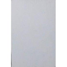 Librisaggi