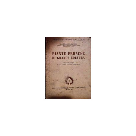 Piante erbacee di grande coltura