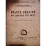 Piante erbacee di grande coltura