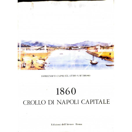 1860 crollo di Napoli capitale