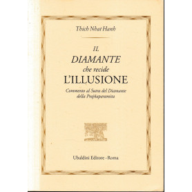 Il diamante che recide l'illusione. Commento al Sutra del diamante della PrajnaparamitaLibrisaggi