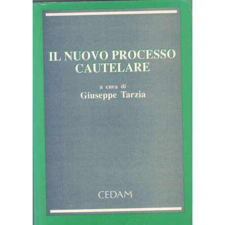 Il nuovo processo cautelare