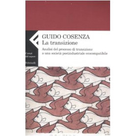 La transizione. Analisi del processo di transizione a una società  postindustriale ecocompatibile