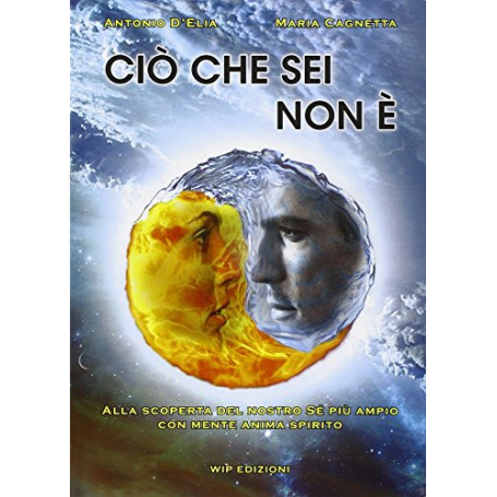 Ciò che sei non è. Alla scoperta del nostro sé più ampio con mente anima spirito
