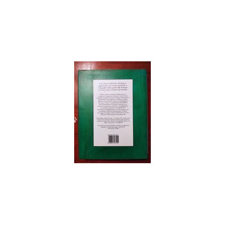 Il nuovo manuale di decorazione