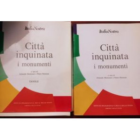 Città  inquinata: i monumenti