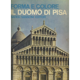 Forma e colore. Il duomo di PisaLibrisaggi