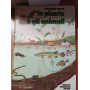 Guardiamo dentro le piante e gli animali