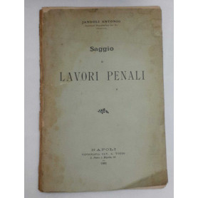 Saggio di lavori penali