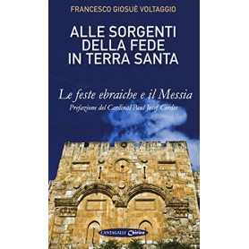 Alle sorgenti della fede in Terrasanta. Le feste ebraiche e il Messia (Vol. 1)