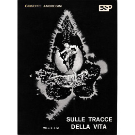 Sulle tracce della vitaLibrisaggi