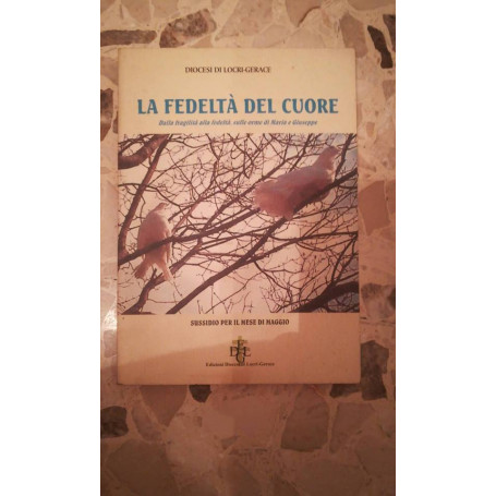 la fedeltà del cuore dalla fragilità alla fedeltà sulle orme di maria e giuseppe