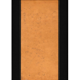 Librisaggi