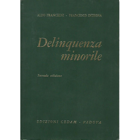 Delinquenza minorile