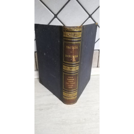 Trattato di Chirurgia Volume VI (Torace Mammelle Pareti dell'addome Addome)
