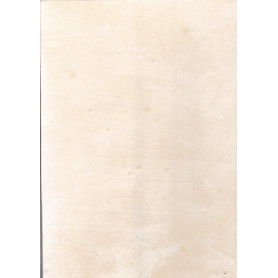 Librisaggi
