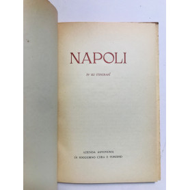 Napoli in sei itinerariLibrisaggi