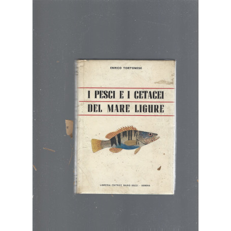 I pesci e i cetacei del mare ligure