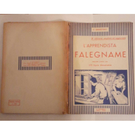 L' Apprendista falegname. Manuale pratico con 370 figure dimostrative