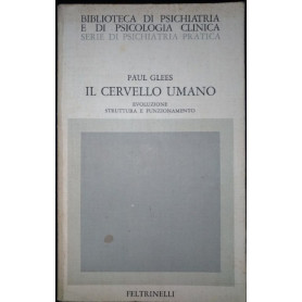 Il cervello umano. Evoluzione