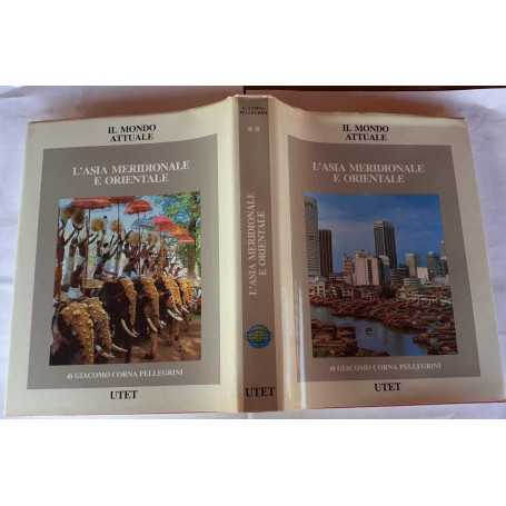 L' Asia meridionale e orientale. Volume 2