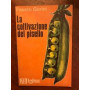 La coltivazione del pisello
