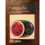 L'anguria: tecnica culturale e difesa antiparassitaria