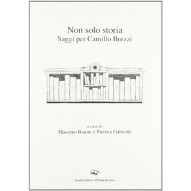 Non solo storia. Saggi per Camillo Brezzi