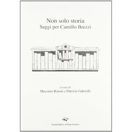 Non solo storia. Saggi per Camillo Brezzi