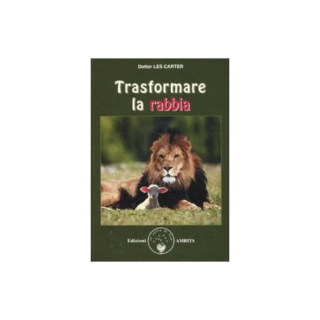 Trasformare la rabbia