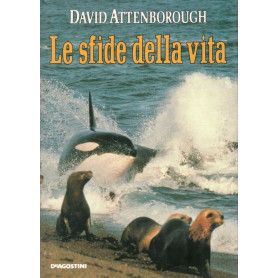 Le sfide della vita