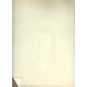 Librisaggi