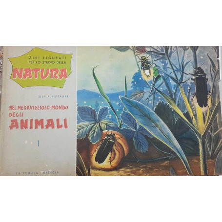 Albi figurati per lo studio della natura. Nel meraviglioso mondo degli animali . 1
