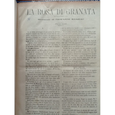 La rosa di Granata