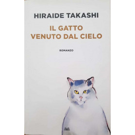 il gatto venuto dal cielo