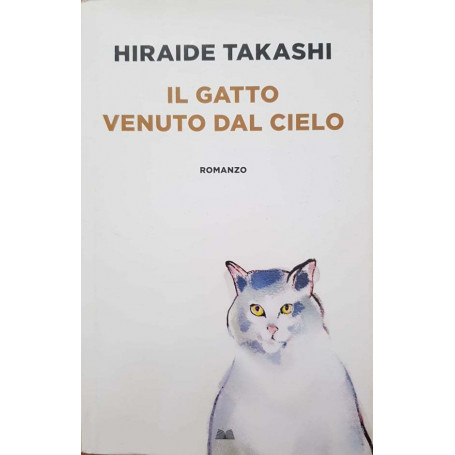 il gatto venuto dal cielo