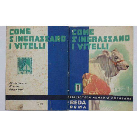 Come s'ingrassano i vitelli