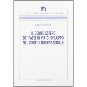 Il debito estero dei paesi in via di sviluppo nel diritto internazionaleLibrisaggi