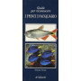 I pesci d'acquario