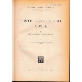 Diritto processuale Civile