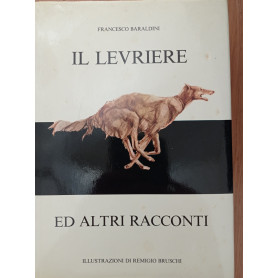 Librisaggi