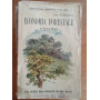 Economia forestale ESTIMO
