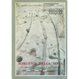 Librisaggi