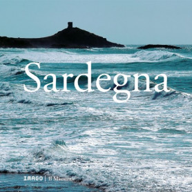 Librisaggi
