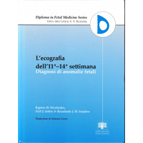 Librisaggi
